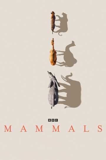 Mammals