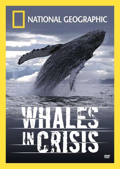 Whales in Crisis Poster