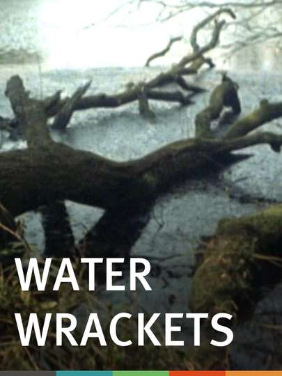 Water Wrackets Poster