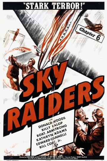 Sky Raiders