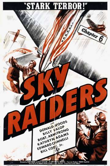 Sky Raiders Poster