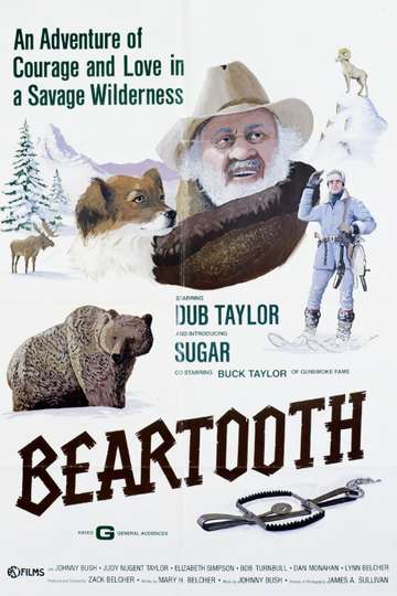 Beartooth Poster