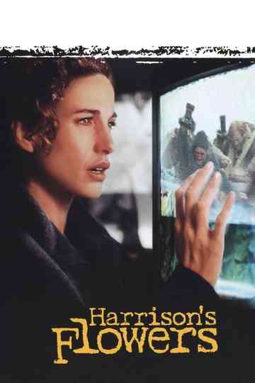 Harrison's Flowers poster