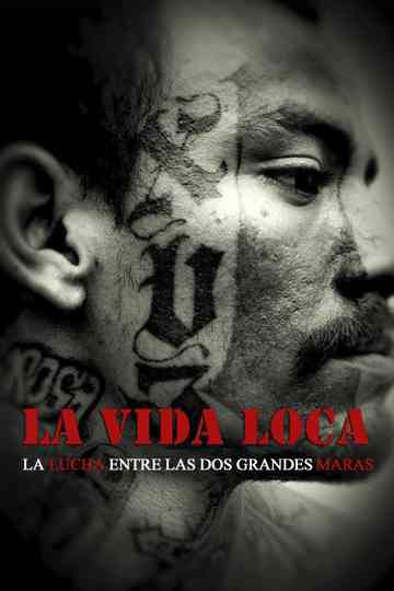 The Crazy Life poster