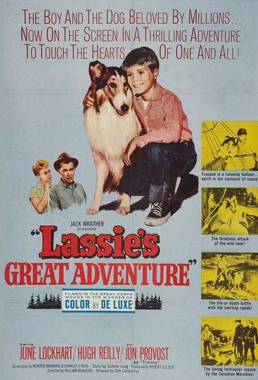 Lassies Great Adventure Poster