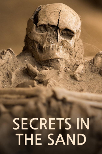 Secrets in the Sand Poster