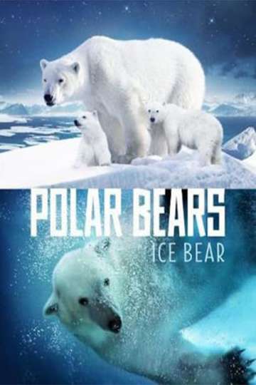 Polar Bears Ice Bear Poster