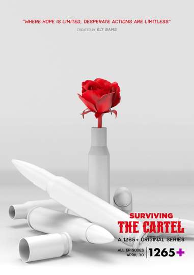 Surviving The Cartel Poster