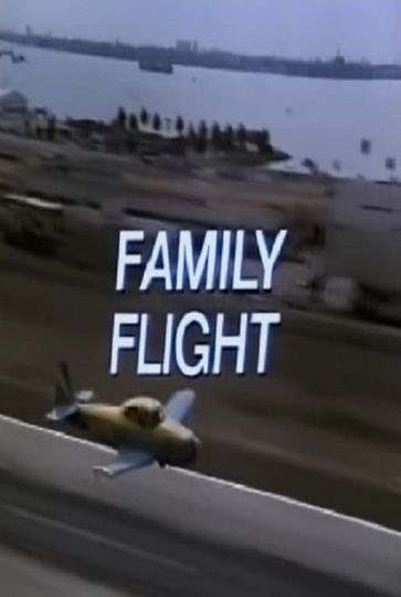 Family Flight Poster