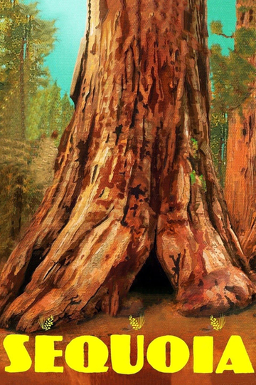 Sequoia