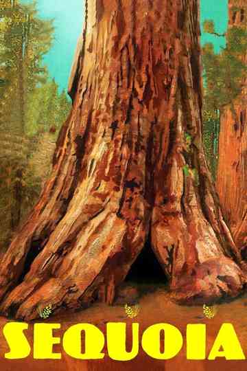 Sequoia Poster