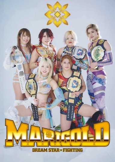 Dream Star Fighting MARIGOLD Poster