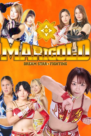 Dream Star Fighting MARIGOLD Poster