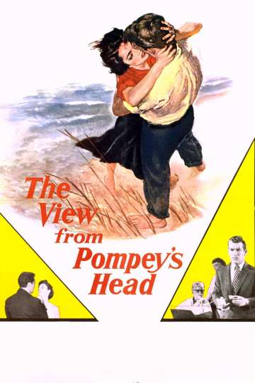 The View from Pompeys Head Poster