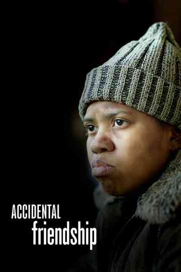 Accidental Friendship Poster