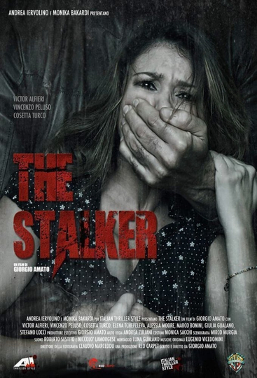 The Stalker Poster