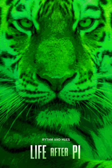 Life After Pi Poster
