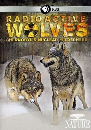 Radioactive Wolves Chernobyls Nuclear Wilderness