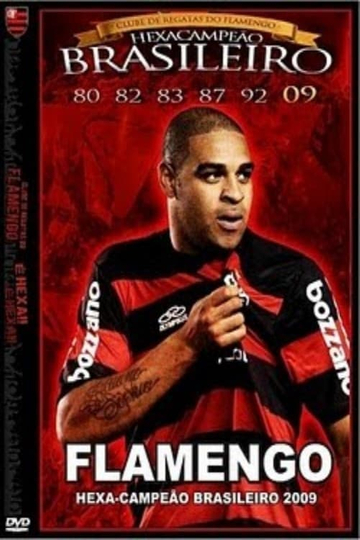 Flamengo HexaCampeão Brasileiro 2009