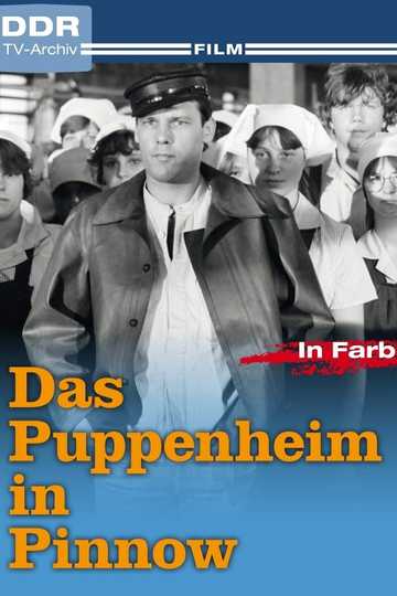 Das Puppenheim in Pinnow Poster