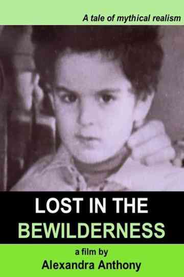 Lost in the Bewilderness