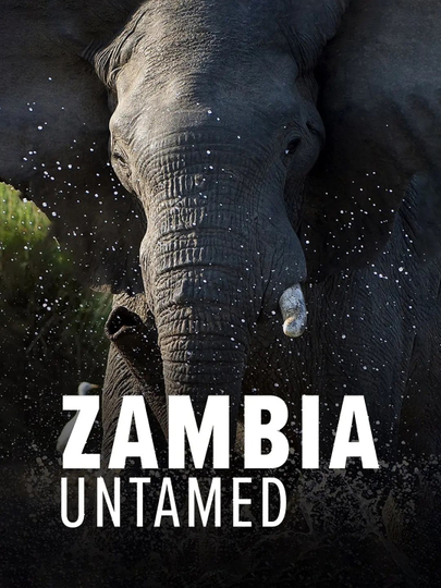 Zambia Untamed