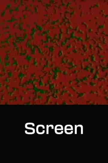 Screen