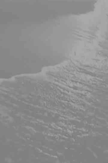 Sea of Tranquility poster