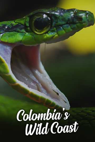 Colombia's Wild Coast