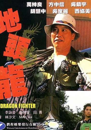 The Dragon Fighter Poster