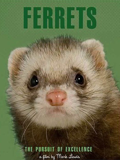 Ferrets