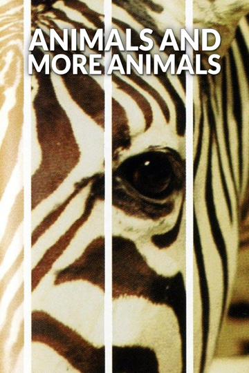 Animals and More Animals