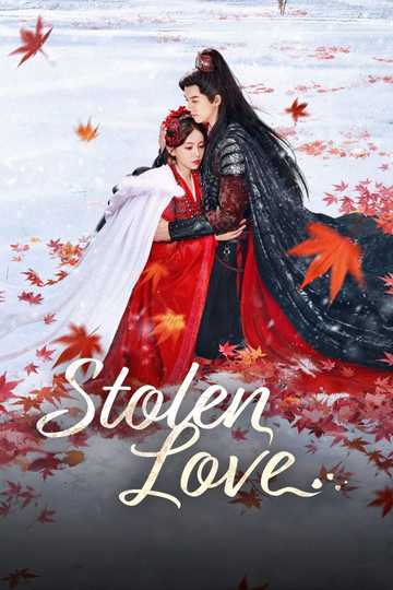 Stolen Love Poster