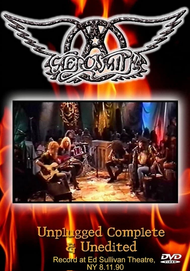 Aerosmith MTV Unplugged