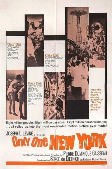 Only One New York Poster