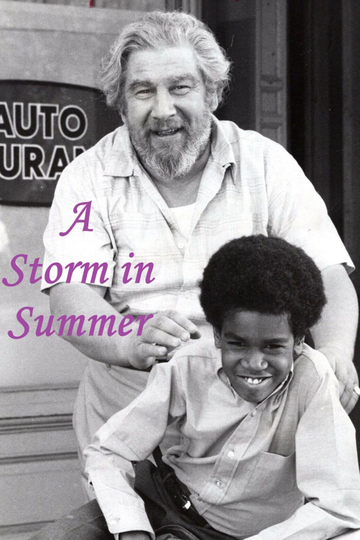 A Storm in Summer Poster