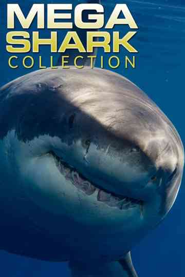 Mega Shark Collection Poster