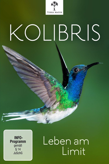 Kolibris  Leben am Limit