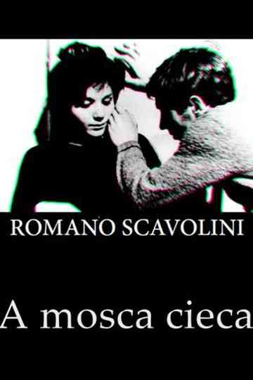 The Blind Fly poster