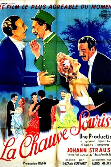 Die Fledermaus Poster