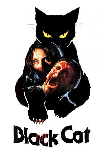 The Black Cat Poster