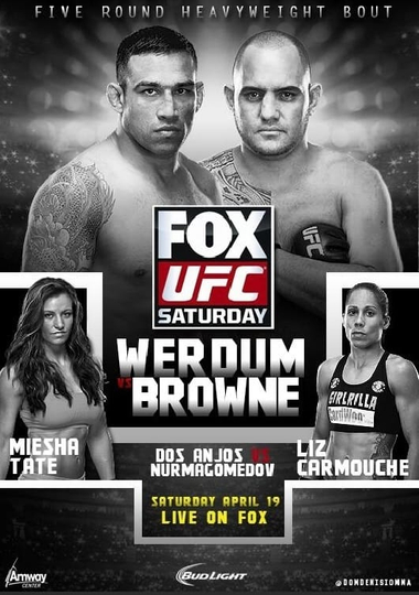 UFC on Fox 11 Werdum vs Browne