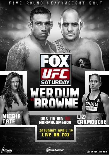 UFC on Fox 11 Werdum vs Browne Poster