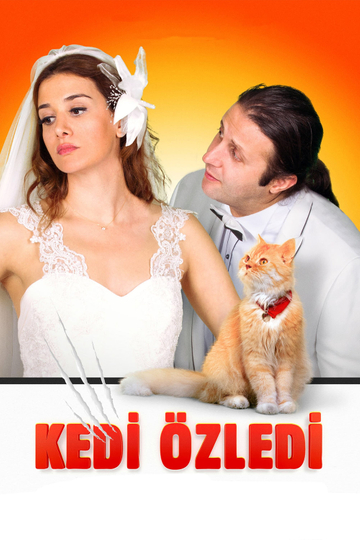 Kedi Özledi Poster