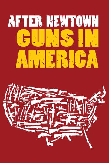 After Newtown Guns in America Poster