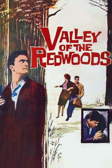 Valley of the Redwoods Poster