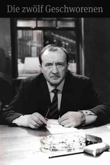 The Twelve Jurors poster