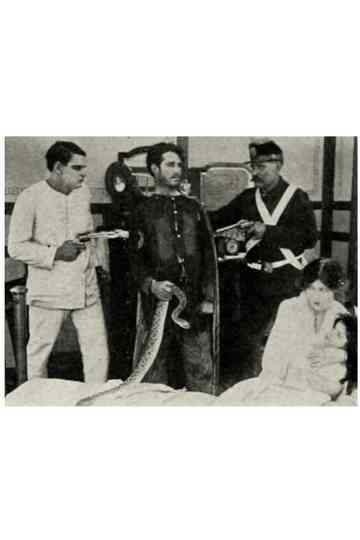 The Rattlesnake Poster