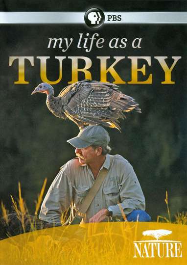 My Life as a Turkey Poster