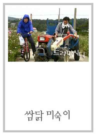 Drama City: Hot-Tempered Mi Sook poster